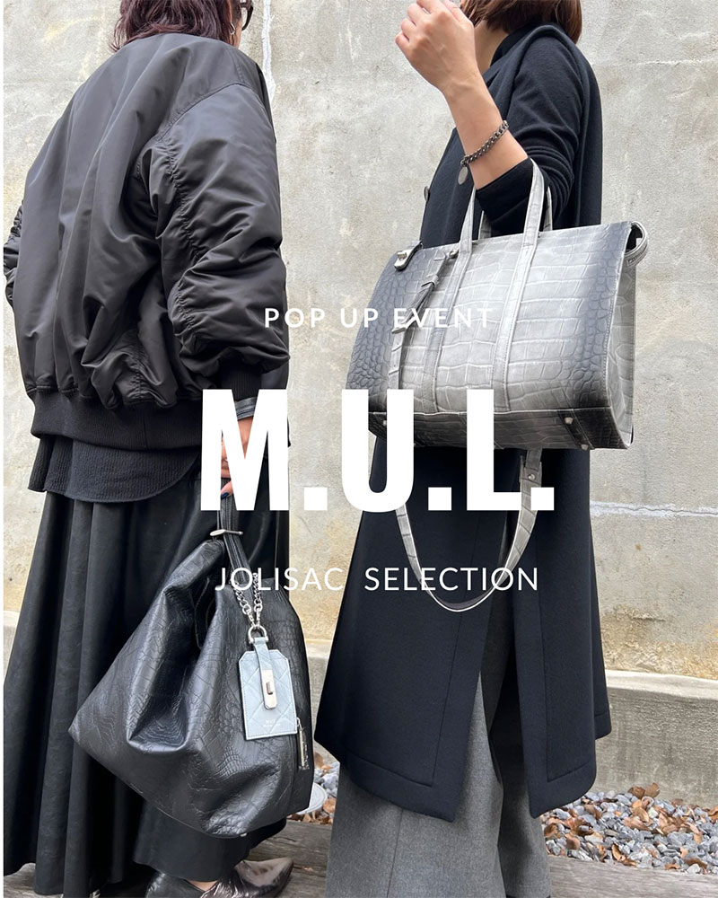 MULPRイメージ