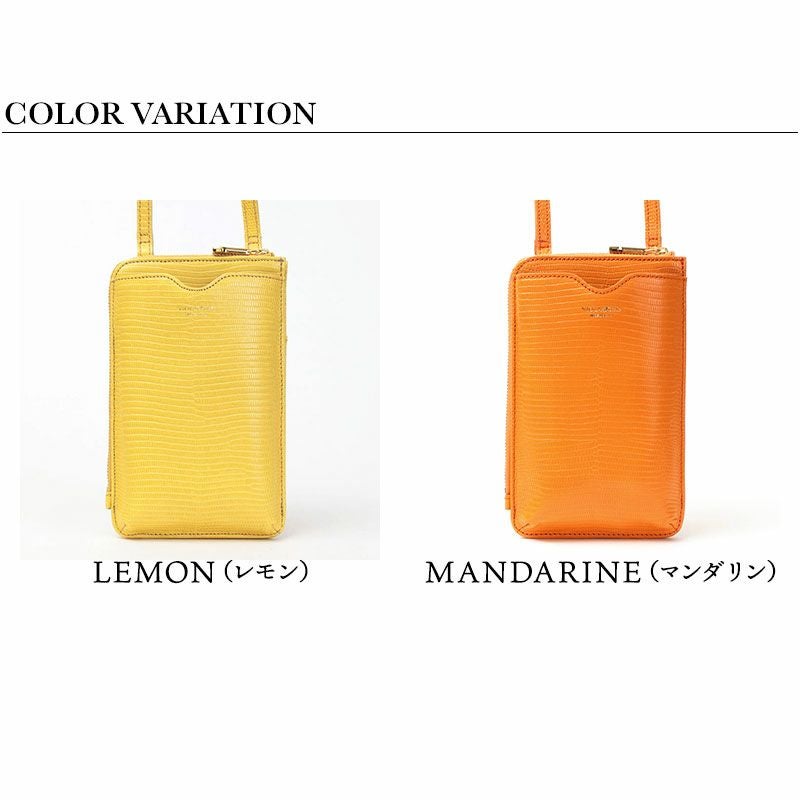 バリエーション