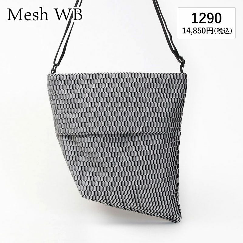 メッシュWB