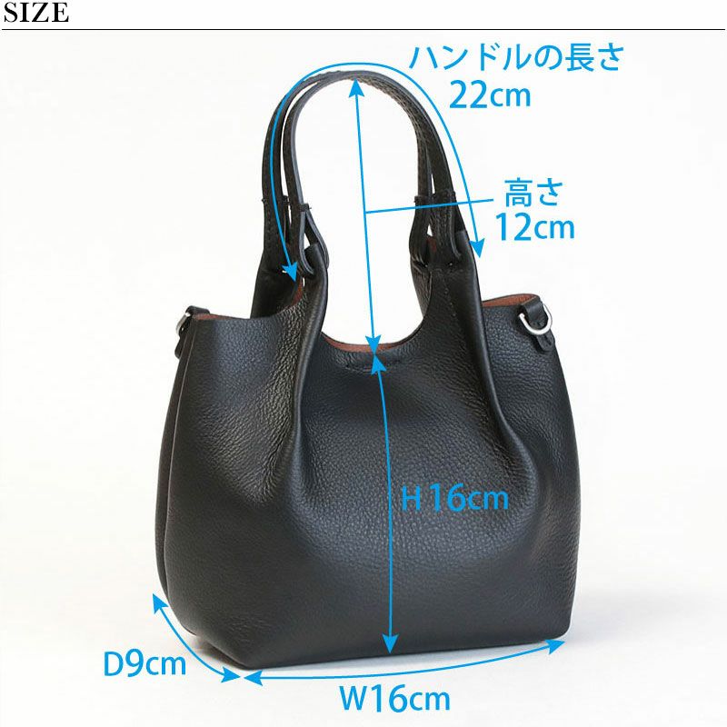 GIANNI CHIARINI DUA Sサイズ ポーチなし 2way バッグ GIANNI CHIARINI（ジャンニ キアリーニ） ジャンニキャリーニ バッグ