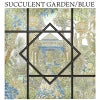 サキュレントガーデンブルー