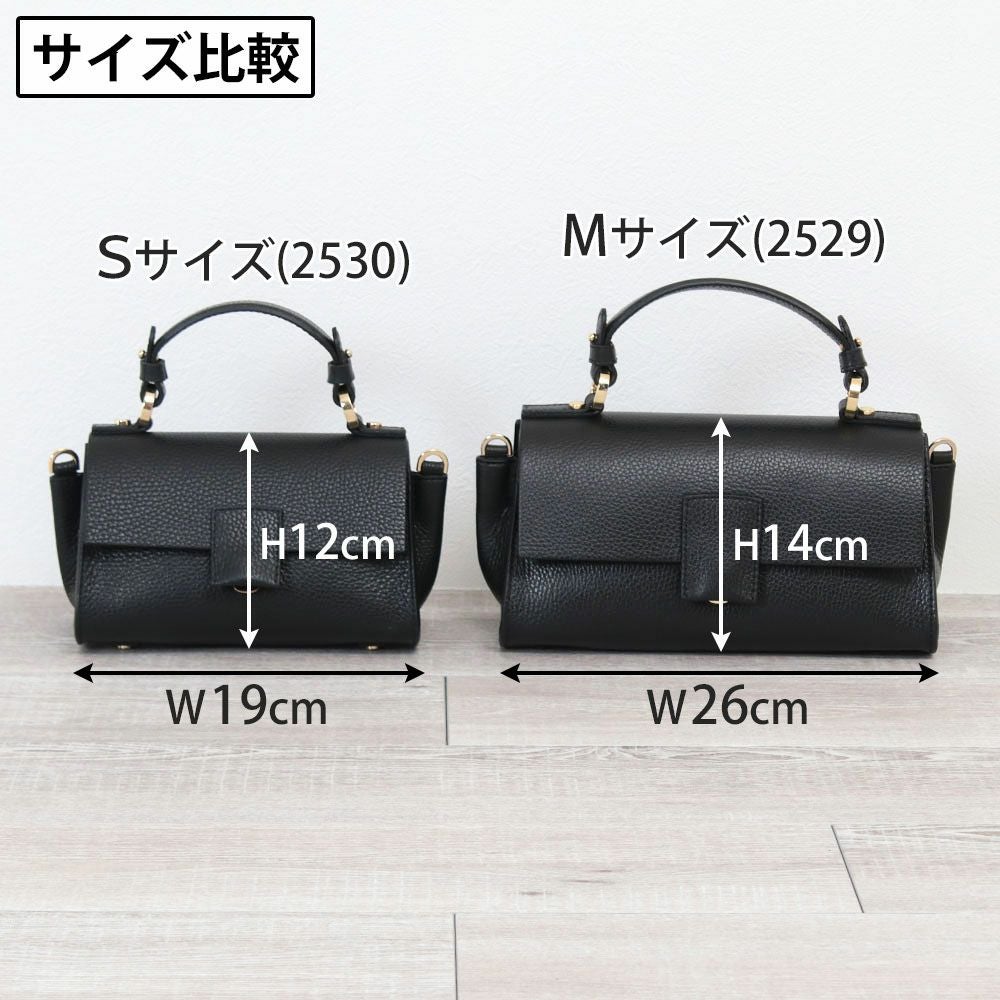 未使用！LORISTELLA バッグ BETH 2WAY レザーショルダー LORISTELLA（ロリステッラ） バッグ レザー ショルダー 2WAY