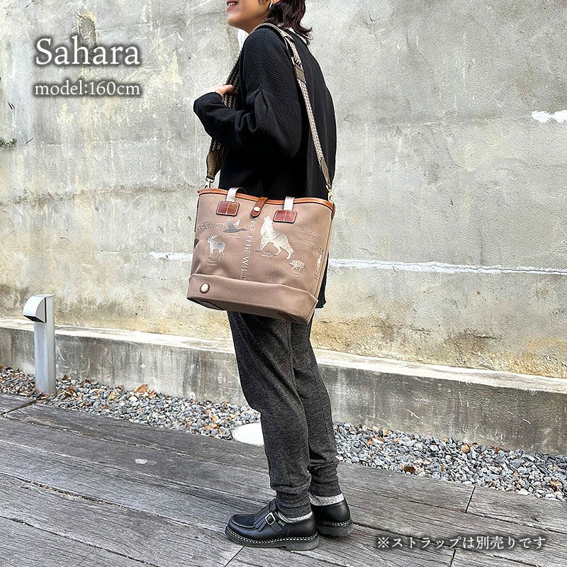 コーディネート例