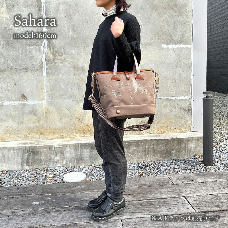 コーディネート例