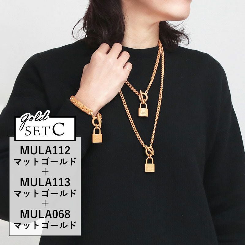 セットCゴールドBKバージョン