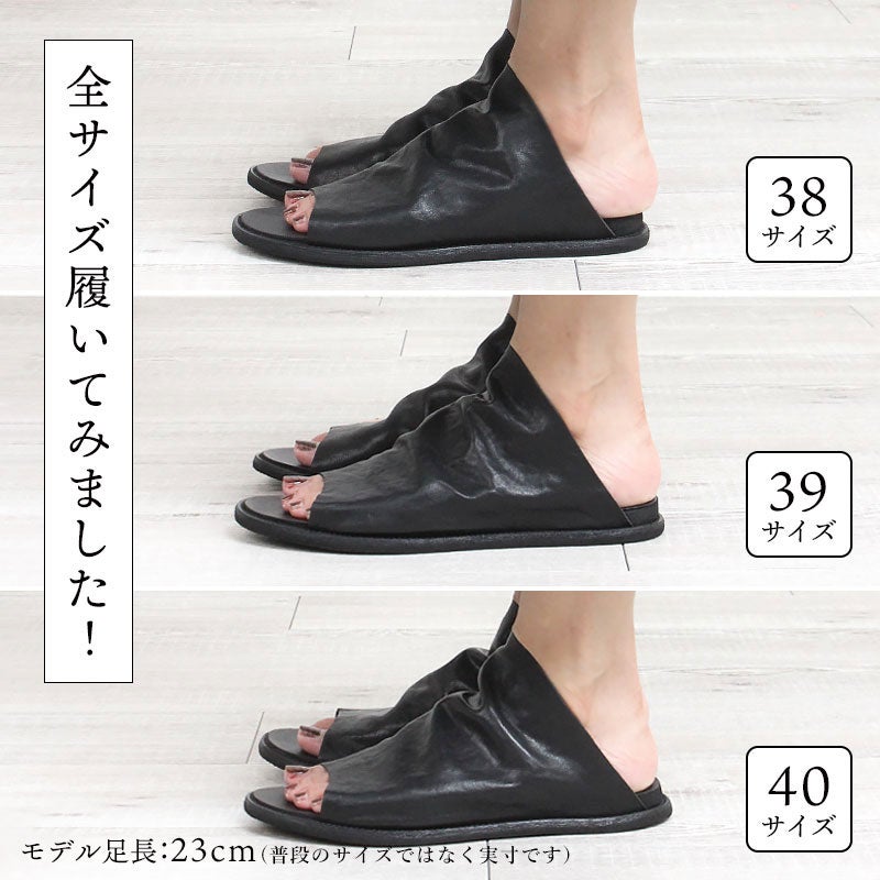 サイズ比較