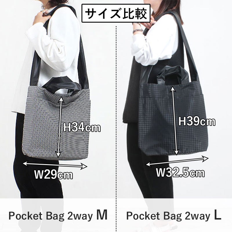 Lとサイズ比較